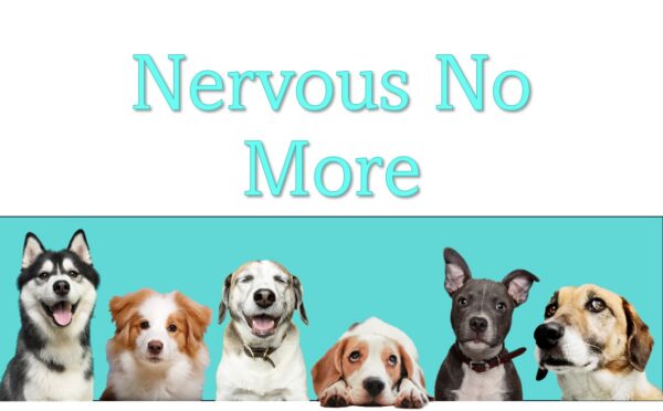 Online course: Nervous No More Live Run - January 2025