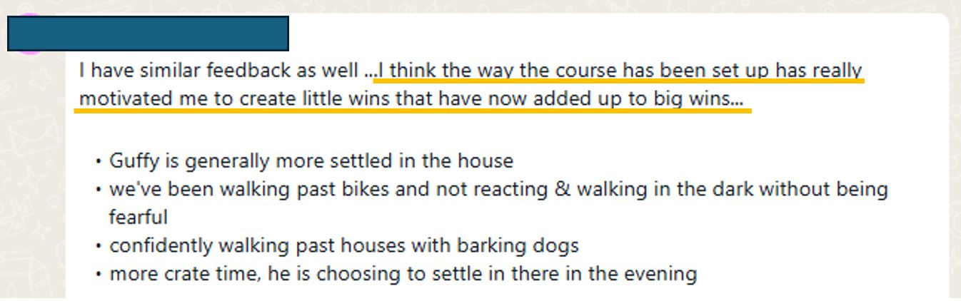 Client testimonial of success with nervous reactive rescue dog