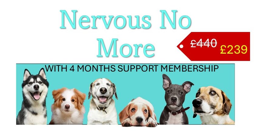 Nervous No More Course with 4 Months Support Membership SUMMER SALE